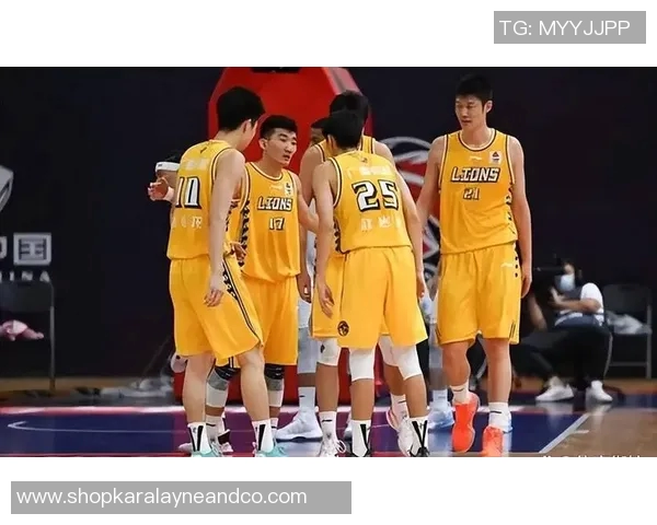 辽宁与四川热身赛精彩重播回顾分析全场精彩瞬间与战术亮点