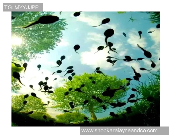 畅享自然之美：探索多样户外活动带来的身心乐趣与挑战