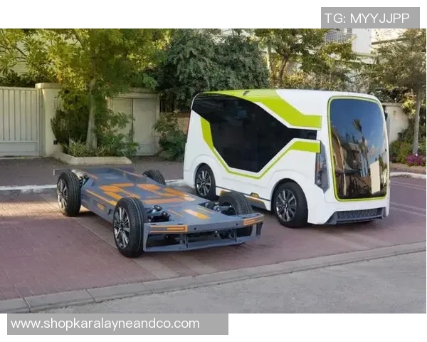 南京滑板队的战术控制体系与滑板运动的创新发展探讨