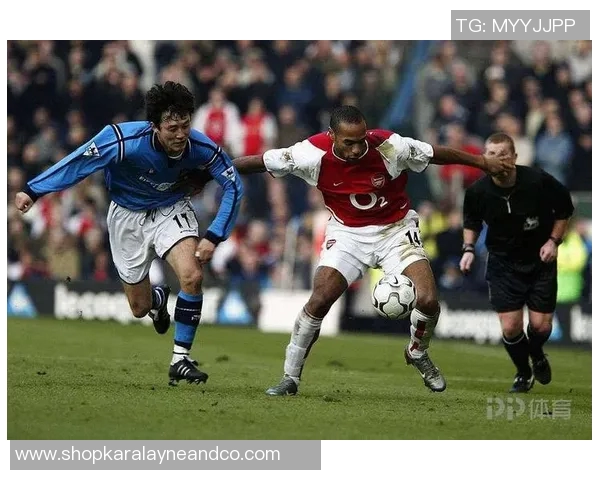 南京排球队灵活性分析与战术创新的深度探讨